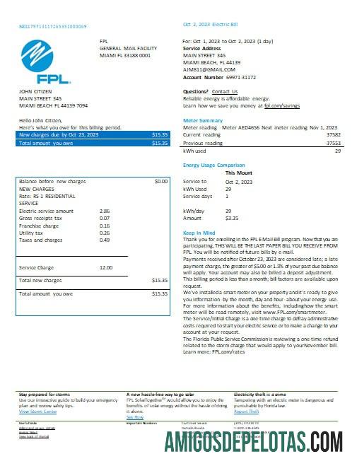 Formatos Word e PDF da conta de serviços públicos de eletricidade FPL dos EUA, Flórida, versão 2 amostra